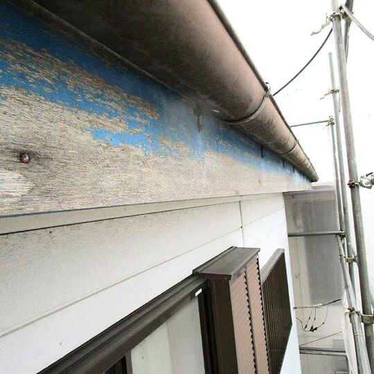 鼻隠しの塗膜の剥がれ