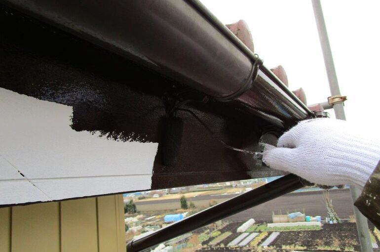 鼻隠しの塗装