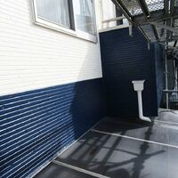 画像3882