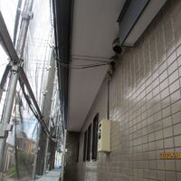 画像4282