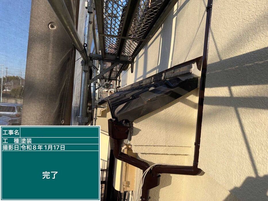 画像4498